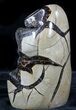 Polished Septarian Geode Sculpture - Black Crystals #55016-2